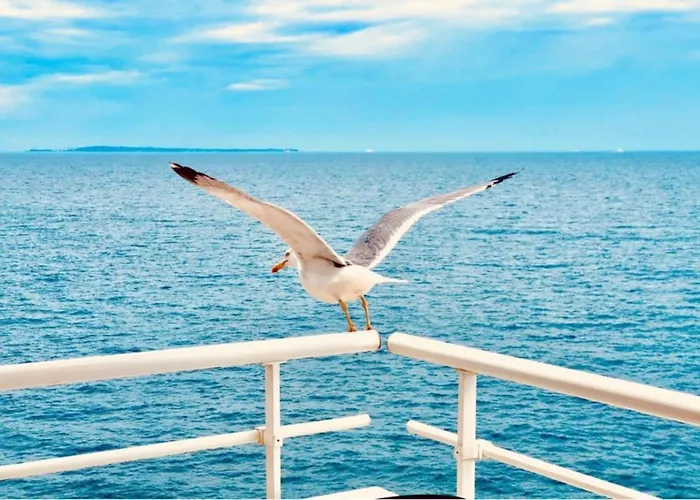 Bel Appartement Avec Vue Mer Le Trayas photo