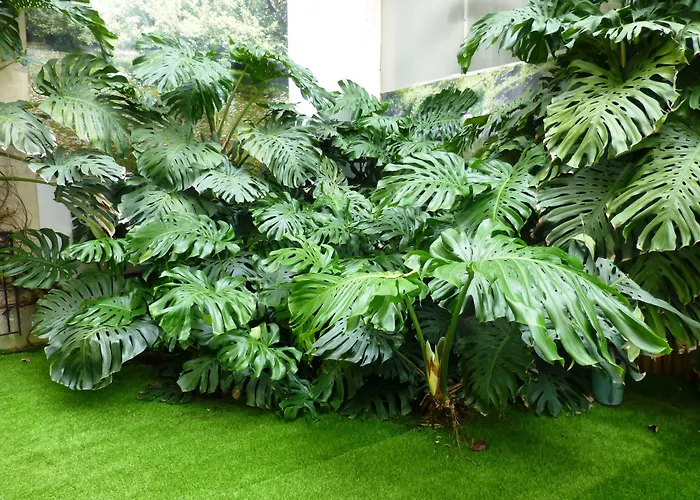 Hotel Capitole Beausoleil foto