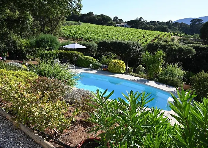 Maison 3 Chambres Avec Piscine Dans Un Cadre Calme Et Rare - Fr-1-726-66 Pardigon fotoğrafı